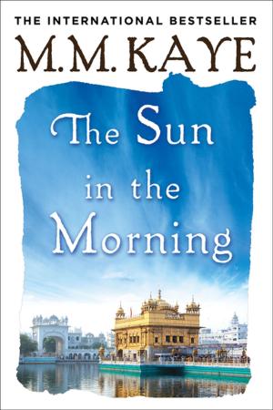 Book cover of The Sun in the Morning