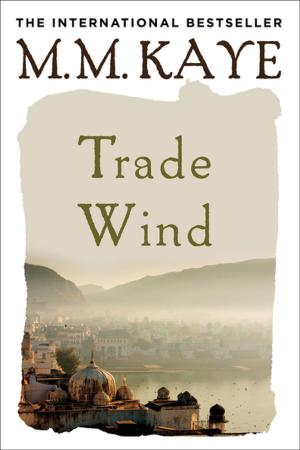 Cover of the book Trade Wind by John Ajvide Lindqvist