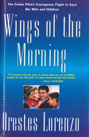 Cover of the book Wings of the Morning by Tom Snyder