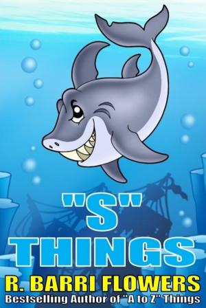 Book cover of "S" Things (A Children's Picture Book)