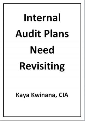 Cover of Internal Audit Plans Need Revisiting