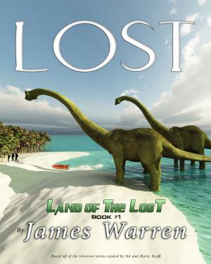 Cover of the book Lost by James Matt Cox