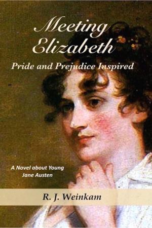 Cover of Meeting Elizabeth: Pride and Prejudice Inspired