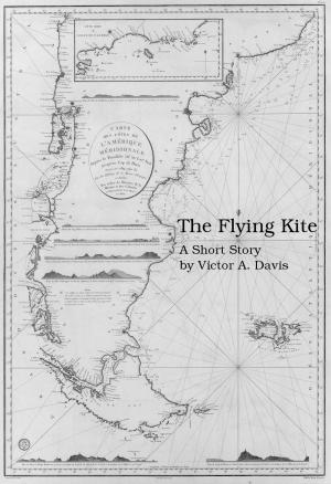 Cover of the book The Flying Kite by Machado de Assis, Isaac Goldberg, Ludmig