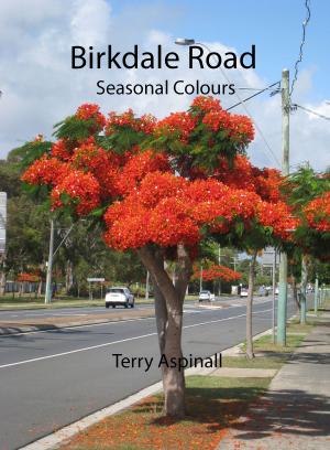 Book cover of Birkdale Road Seasonal Colours