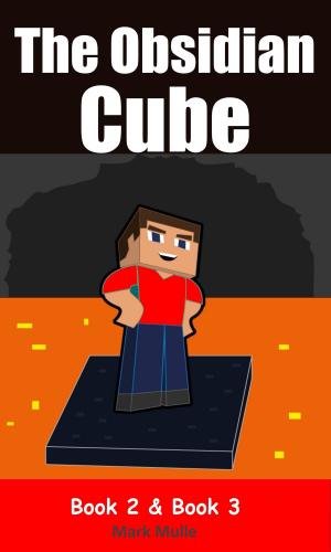 Book cover of The Obsidian Cube, Book 2 and Book 3