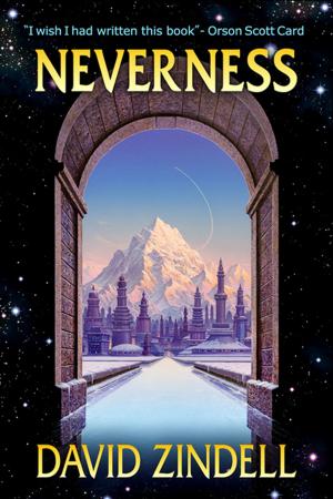 Cover of the book Neverness by Anne Hope