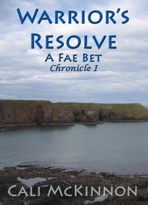 Cover of the book Warrior’s Resolve: a Fae Bet by RJ Kennett