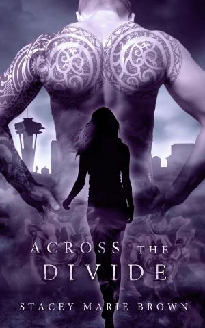 Cover of the book Across The Divide (Collector Series #3) by Geneviève Lamothe