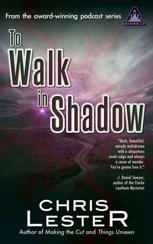 Book cover of To Walk in Shadow: A Tale of Metamor City