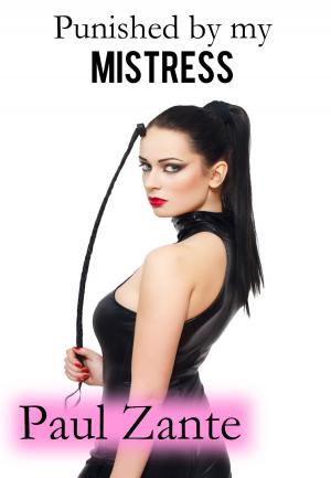 Book cover of Punished by my Mistress