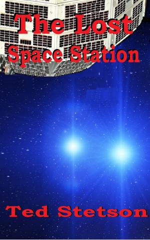 Book cover of The Lost Space Station