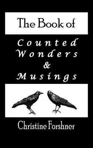 Cover of the book The Book of Counted Wonders and Musings by Nick Piombino
