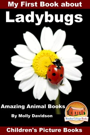 Cover of My First Book about Ladybugs: Amazing Animal Books - Children's Picture Books