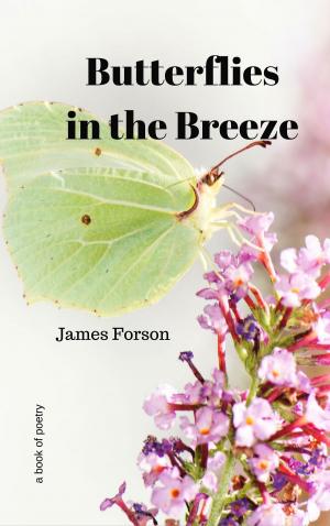 Cover of the book Butterflies in the Breeze by John Rachel