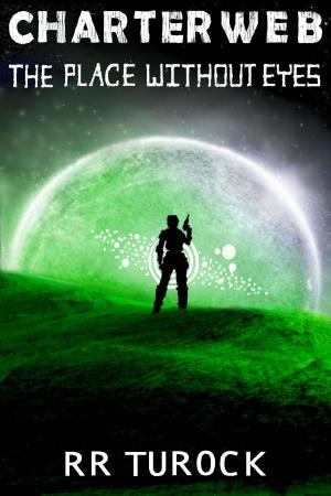 Cover of the book The Place without Eyes by Danny L Davis