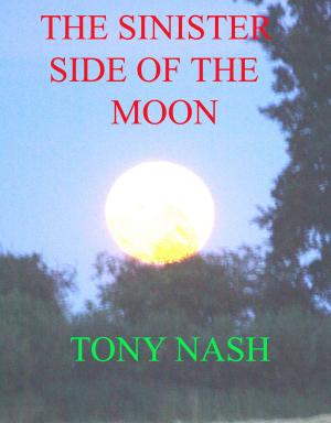 Cover of the book The Sinister Side of the Moon by Michael F. Rizzo