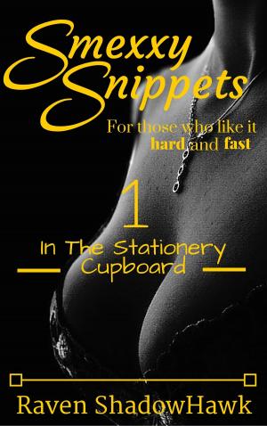 Cover of Smexxy Snippets: In The Stationery Cupboard