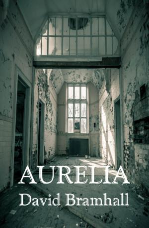 Cover of the book Aurelia: six ghost stories by Kelly Ferguson