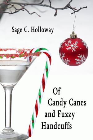 Cover of the book Of Candy Canes and Fuzzy Handcuffs by Juli Valenti