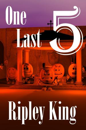 Cover of the book One Last 5 by Marilyn Reynolds