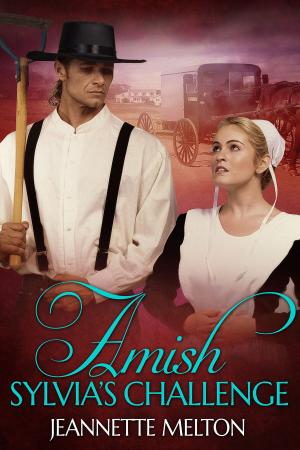Cover of Amish: Sylvia's Challenge