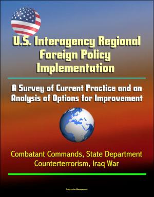 bigCover of the book U.S. Interagency Regional Foreign Policy Implementation: A Survey of Current Practice and an Analysis of Options for Improvement - Combatant Commands, State Department, Counterterrorism, Iraq War by 