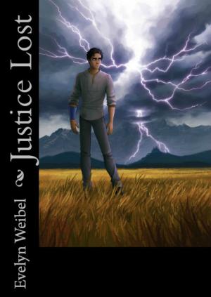 Cover of the book Justice Lost by Roman Dee Hellwigi