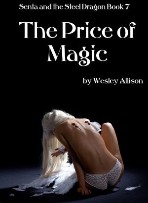 Book cover of The Price of Magic