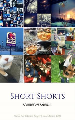 Cover of the book Short Shorts by Joe Head