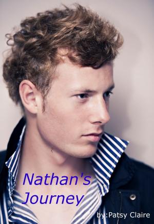 Book cover of Erotic Journeys-Nathan's Journey