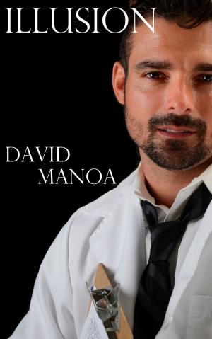 Cover of the book Illusion by David Manoa