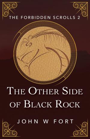 Book cover of The Other Side of Black Rock