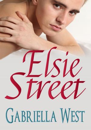 Cover of the book Elsie Street by Sheila Marie Hook