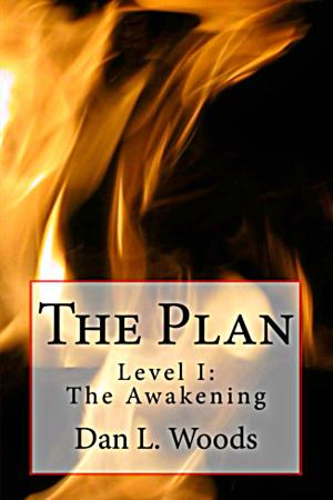 Book cover of The Plan Level I: The Awakening