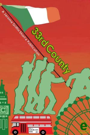 bigCover of the book 33rd County by 