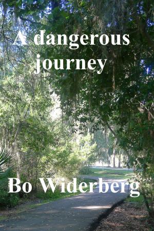 bigCover of the book A Dangerous Journey by 