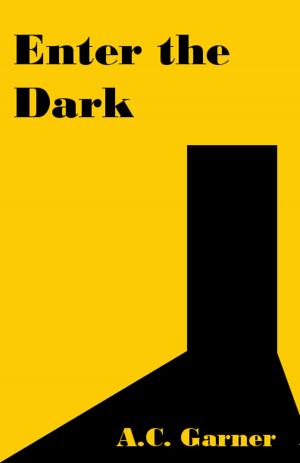 Cover of the book Enter the Dark by Carissa Marks
