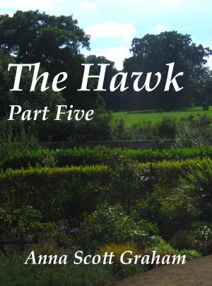 Cover of the book The Hawk: Part Five by Amie McCracken