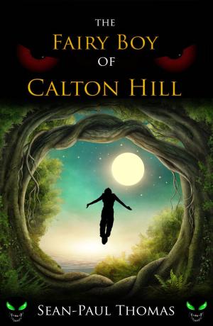 Book cover of The Fairy Boy of Calton Hill
