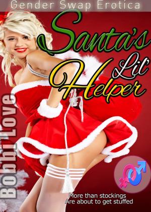 Cover of the book Santa's Lil' Helper by Bobbi Love