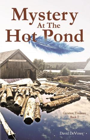 Book cover of Mystery at the Hot Pond