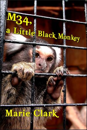 Cover of the book M34, a Little Black Monkey by Jackie Mae, Alison Taylor