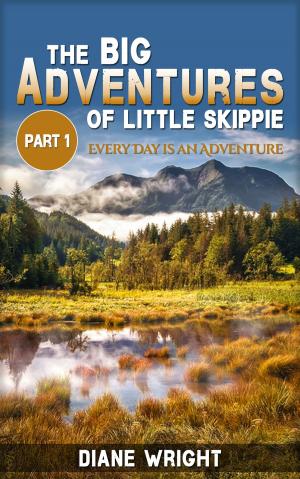 Cover of the book The Big Adventures of Little Skippie Part 1- Every Day is an Adventure by Stephen Fender