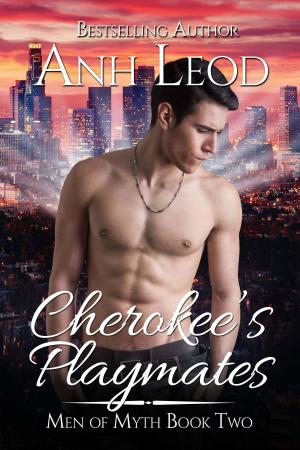 Cover of the book Cherokee's Playmates by Jen Karsbaek