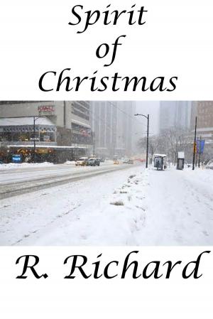 Book cover of The Spirit Of Christmas