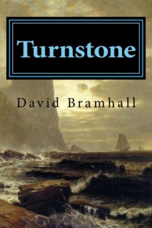 Book cover of Turnstone