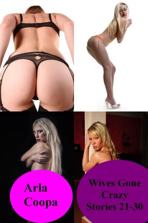 Cover of the book Wives Gone Crazy: Stories 21-30 by Edward Naughty