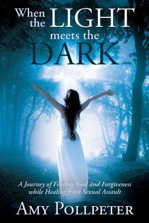 Cover of the book When The Light Meets The Dark: A Journey Of Finding God And Forgiveness While Healing From Sexual Assault by Amie McCracken