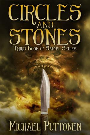 Cover of the book Circles and Stones by Shane C Curran